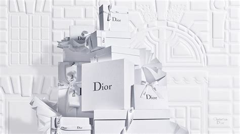 chhristian dior|official christian dior website.